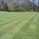 Finished lawn - 1000 sq m